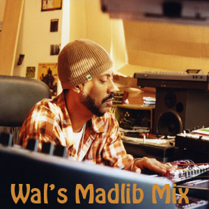 Wal's Madlib Mix-FREE DOWNLOAD!